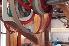 20220521_111553-scaled