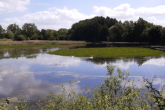 20220610_112749-scaled