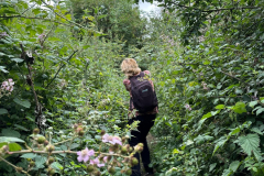 Fighting-through-the-nettles