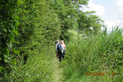 Hiking-through
