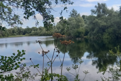 Paxton-lakes