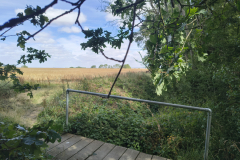 Bridge