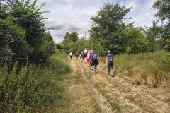 On-the-path