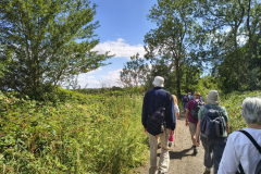 Walkiing-by-feilds