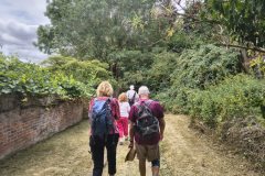 following-on
