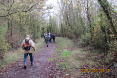 Footpath