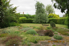 garden-2