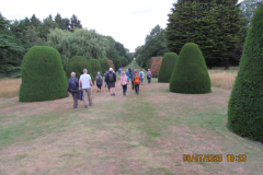 past-hedges