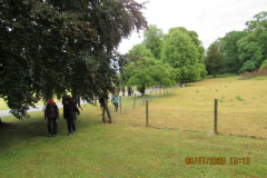 under-the-trees