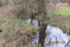 stream