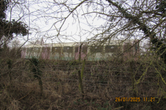 train