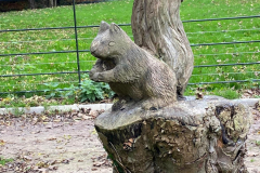 wooden-squirel