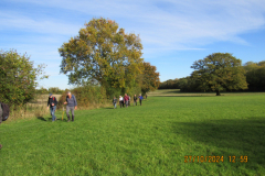 Across-the-fields