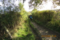 Footpath