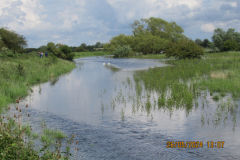 Some-flooding
