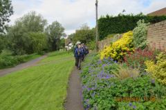 Walking-on-the-path