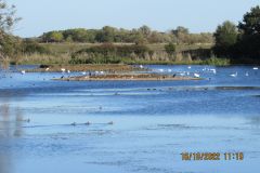 RSPB LAKE