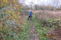Kicking-the-leaves