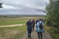 Along-the-path