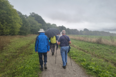 Wet-path