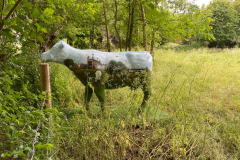 Queen's Platinum Jubilee Walk