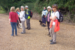 20220603_110031-scaled