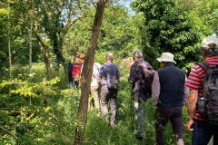 20220603_111618-scaled