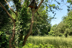 20220603_111715-scaled