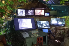 20220603_111947-scaled