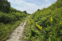 devils-dyke