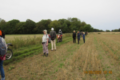 along-the-fields
