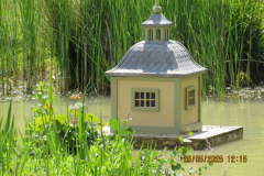 duck-house