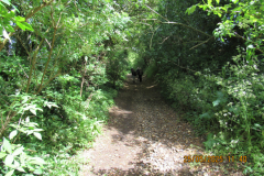pathway