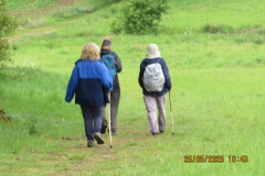 walkers