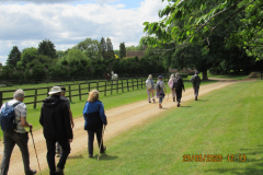 walking-past-horses