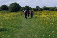 20220521_141509-scaled