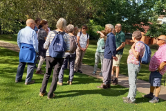 Group in the garden