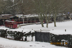Saffron Walden