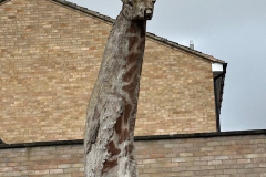 giraffe-sculpture