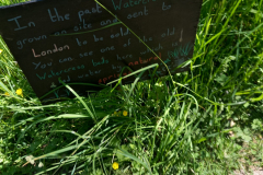 20210616_105841-scaled