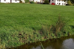 20201014_110416-scaled