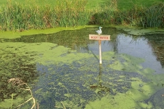 20201014_110440-scaled