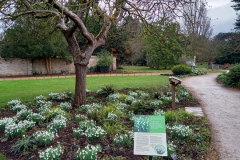 20220127_110901-scaled