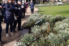 20220216_103848-scaled