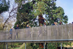 20220216_104905-scaled