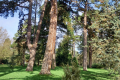 20220216_1056331-scaled