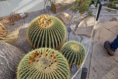 20220216_122114-scaled