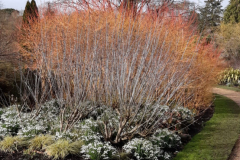 IMG-20220216-WA00241