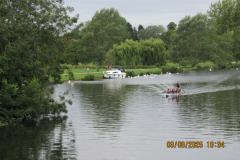 dragon-boat