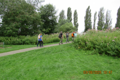on-the-path